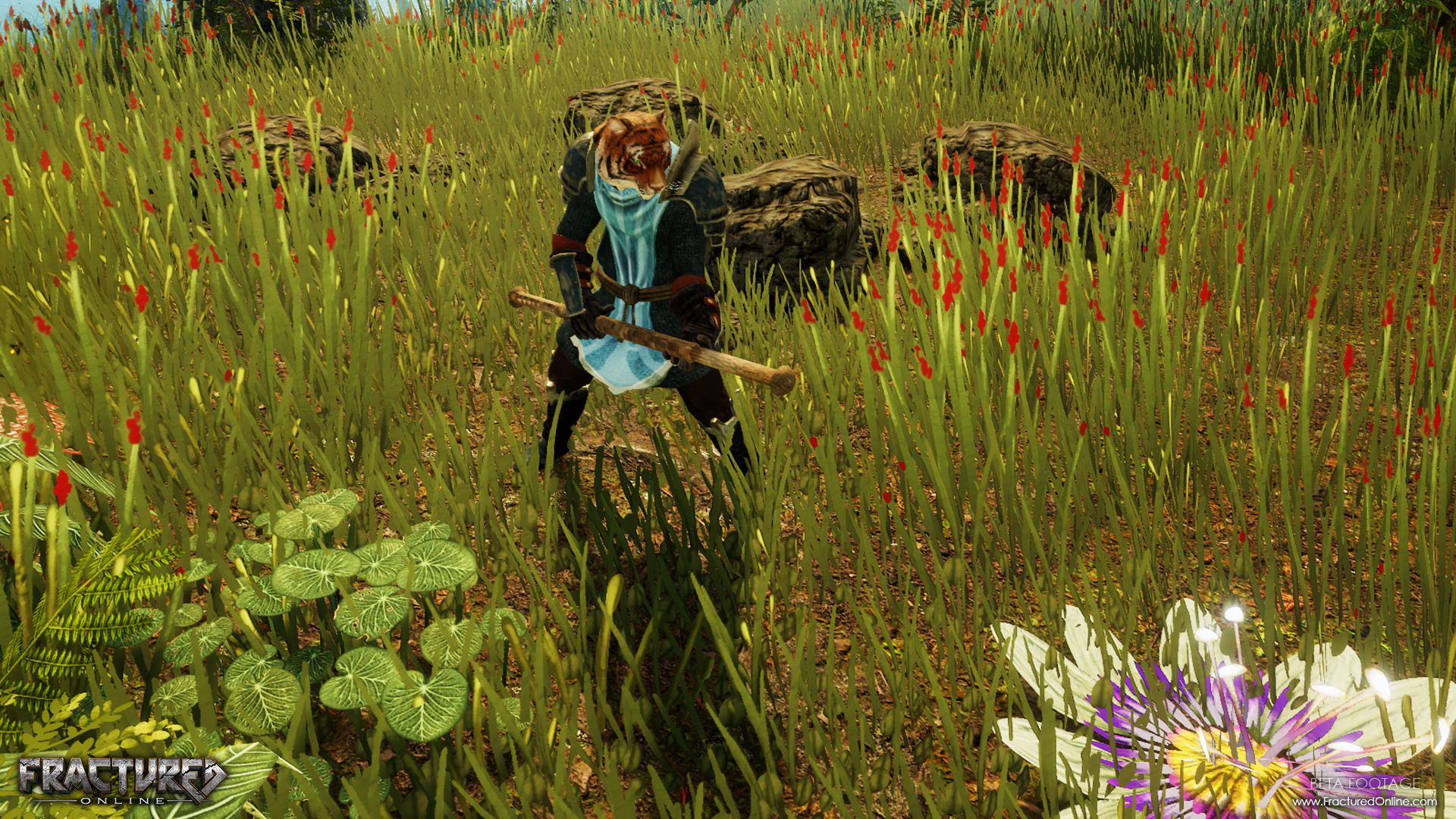Fractured Previews the Half-Animal Wildfolk Race in Anticipation of Early Access